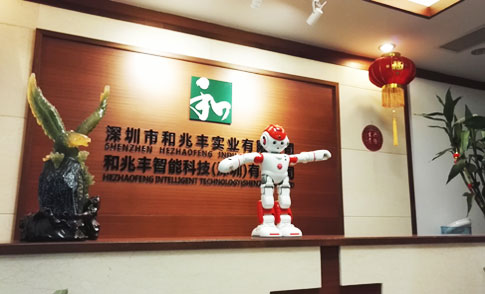 春晚机器人代理 Alpha机器人广东总代理 智能机器人