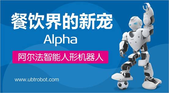 深圳阿尔法机器人,深圳优必选机器人,阿尔法智能机器人