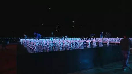 春晚机器人,阿尔法智能机器人,春晚阿尔法机器人,春晚表演机器人